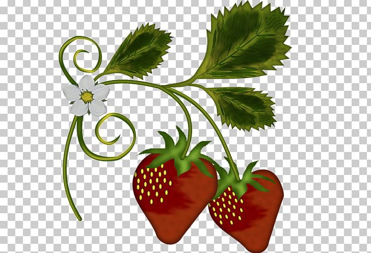 Strawberry Food Shortcake Fruit Amorodo PNG, Clipart, Amorodo, Flower, Flowerpot, Food, Fragaria Free PNG Download