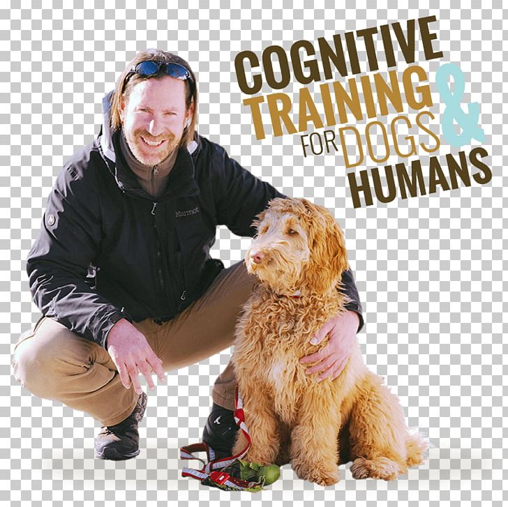 Dog Breed Puppy Companion Dog Dog Training PNG, Clipart, Animals, Breed, Carnivoran, Cognition, Cognitive Training Free PNG Download