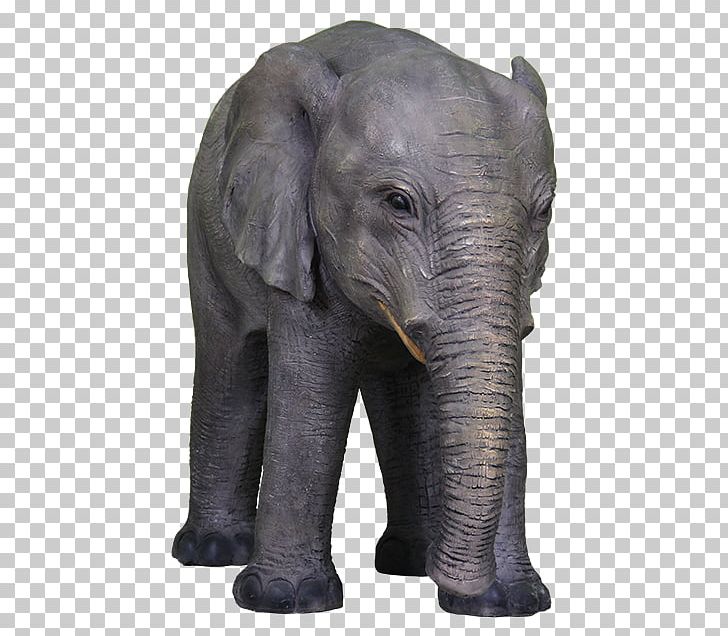 Indian Elephant African Elephant Wildlife Terrestrial Animal PNG, Clipart, African Elephant, Animal, Animals, Asian Elephant, Elephant Free PNG Download