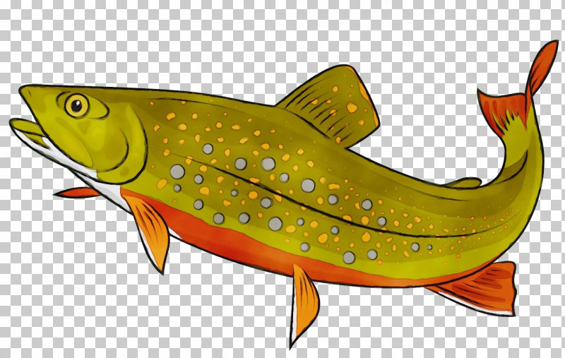 Salmon Cutthroat Trout Call Of Duty: Mobile Ray-finned Fishes Meter PNG, Clipart, Call Of Duty Mobile, Cartoon, Cutthroat Trout, Fish, Meter Free PNG Download