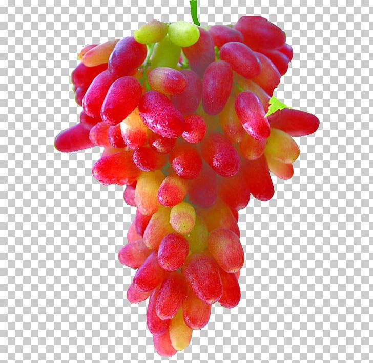Kyoho Grape Watermelon Vegetable Auglis PNG, Clipart, Agriculture, Auglis, Flower Bunch, Food, Fruit Free PNG Download