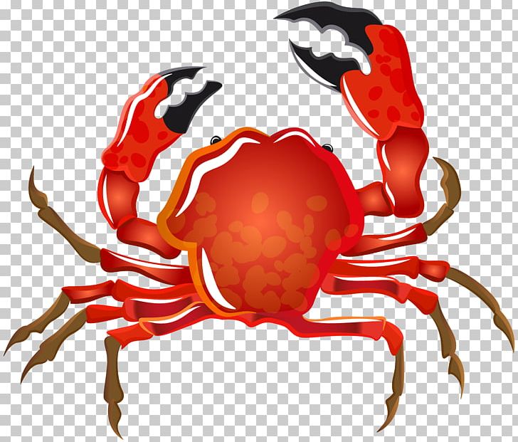 Soft-shell Crab Seashell Hermit Crab PNG, Clipart, Animal Source Foods, Art, Christmas Island Red Crab, Clipart, Clip Art Free PNG Download