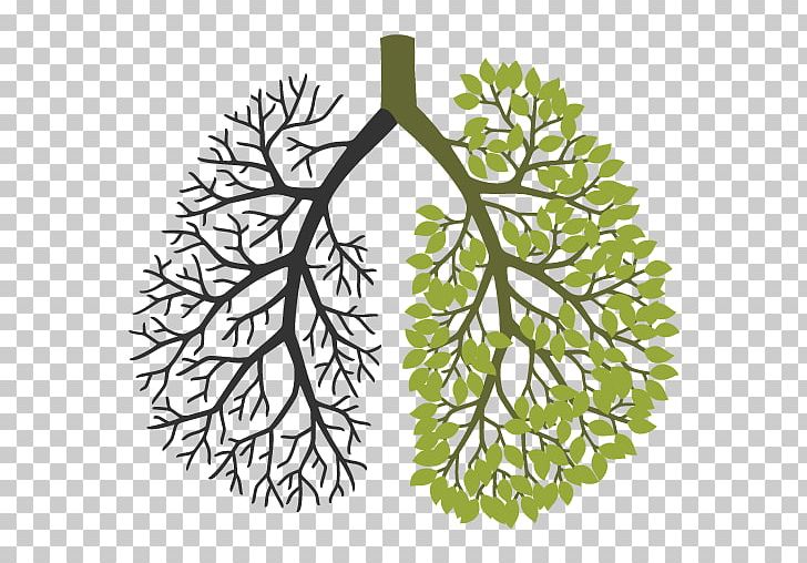 Your Lungs Leaf Respiratory System Tree PNG, Clipart, Branch, Breathing, Flora, Flower, Flowering Plant Free PNG Download
