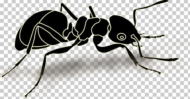 Ant Insect Graphics Illustration PNG, Clipart, Ant, Arthropod, Black And White, Carpenter Ant, Computer Icons Free PNG Download