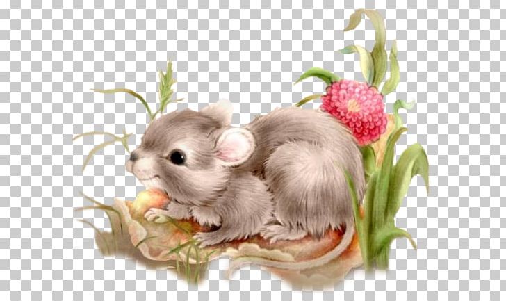 Gerbil Greeting Hamster Guestbook Love PNG, Clipart, Book, Couple, Dormouse, Fauna, Gerbil Free PNG Download