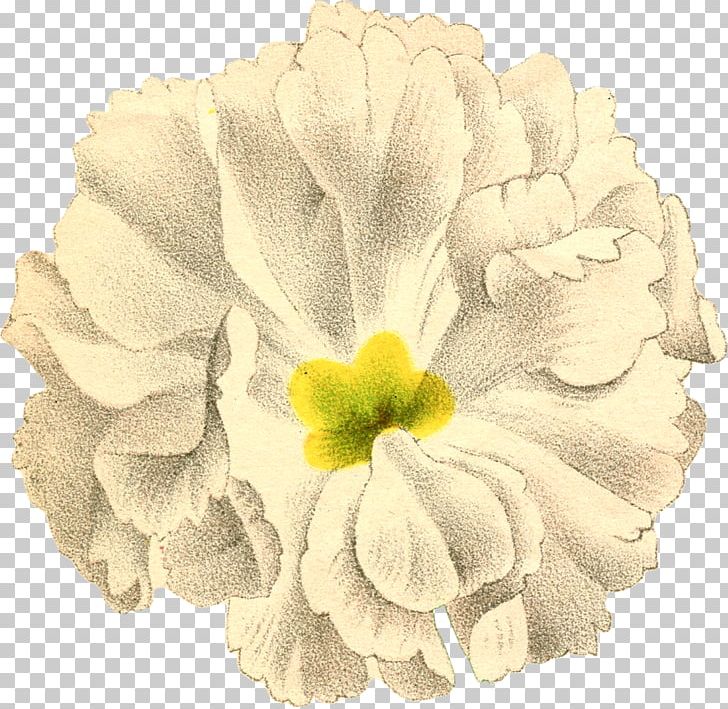 Petal Follow Your Inner Moonlight; Don't Hide The Madness. Cut Flowers Canvas PNG, Clipart,  Free PNG Download