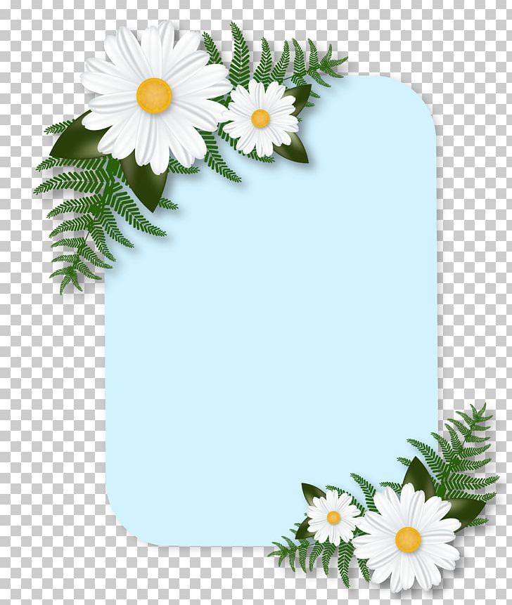 Poster Icon PNG, Clipart, Background Decoration, Botany, Daisy Family, Flower Arranging, Flowering Plant Free PNG Download