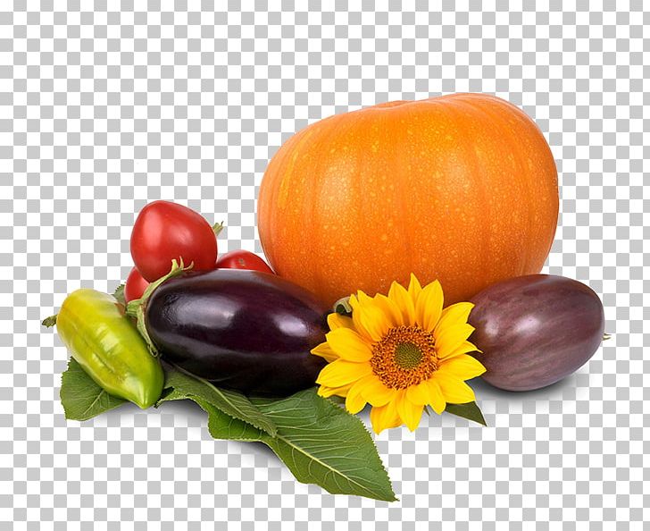 Pumpkin Pie Thanksgiving Dinner PNG, Clipart, Food, Fruit, Gourd, Happy Thanksgiving, Harvest Free PNG Download
