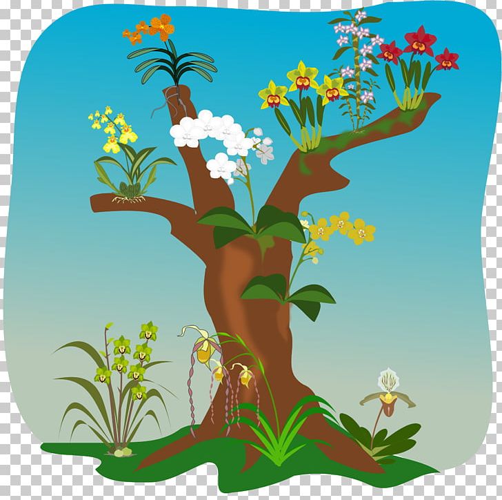 Tree Orchids PNG, Clipart, Branch, Cartoon, Dendrobium, Flora, Flower Free PNG Download