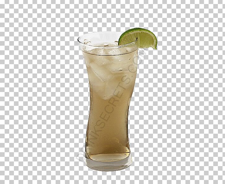 Cocktail Garnish Non-alcoholic Drink Highball Gin PNG, Clipart, Alcoholic Drink, Cocktail, Cocktail Garnish, Dragonfly, Drink Free PNG Download