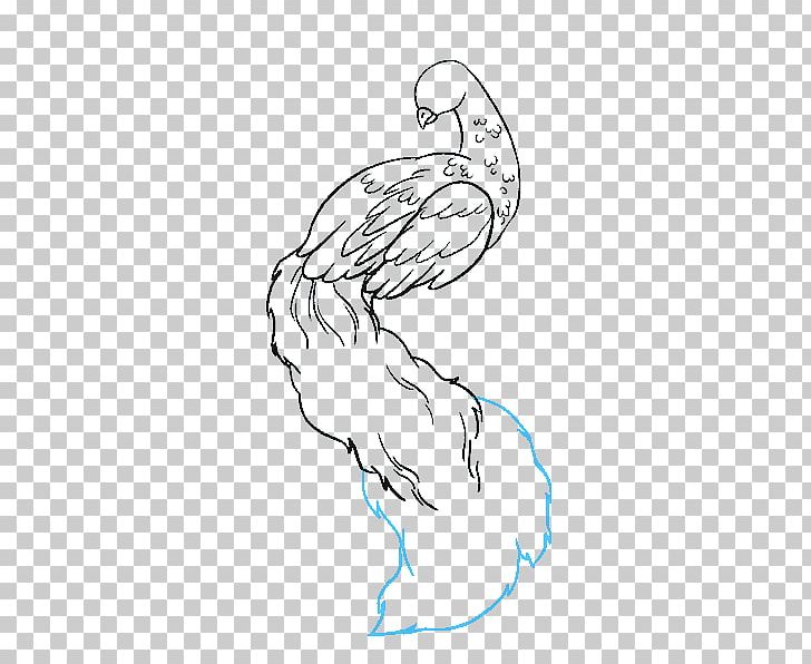 Drawing Pavo Line Art Sketch PNG, Clipart, Angle, Area, Arm, Art, Artwork Free PNG Download