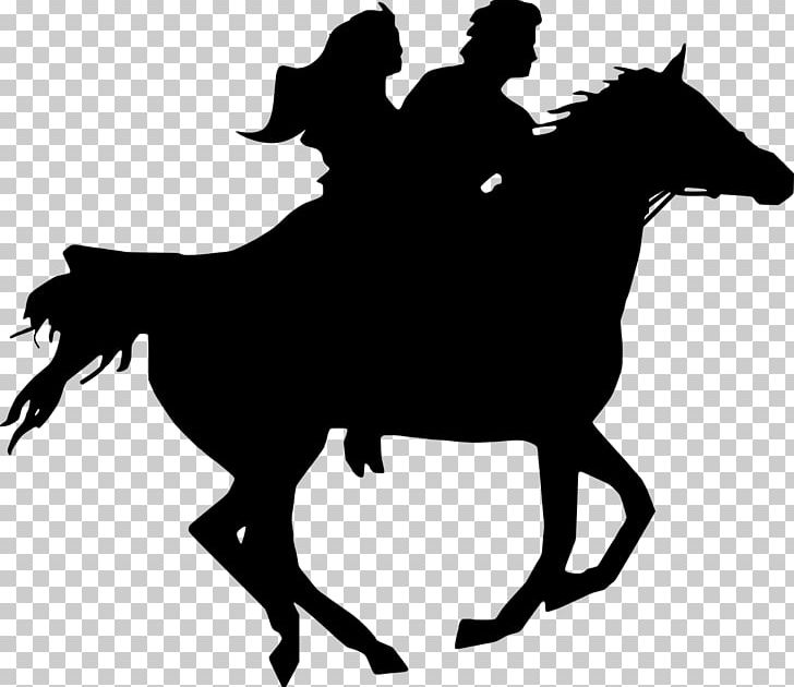 Horse Racing Equestrian PNG, Clipart, Animals, Black And White, Bridle, Colt, English Riding Free PNG Download