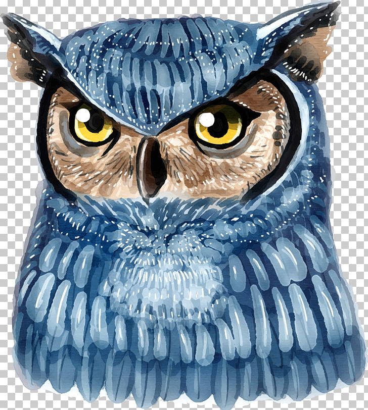 Owl T-shirt Illustration PNG, Clipart, Animals, Art, Beak, Bird, Bird Of Prey Free PNG Download
