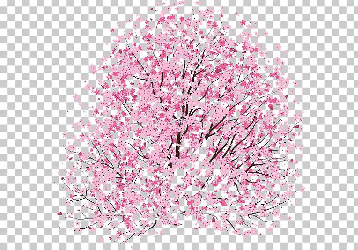 Cherry Blossom Drawing Idea PNG, Clipart, Blossom, Branch, Cherry, Cherry Blossom, Clean Free PNG Download