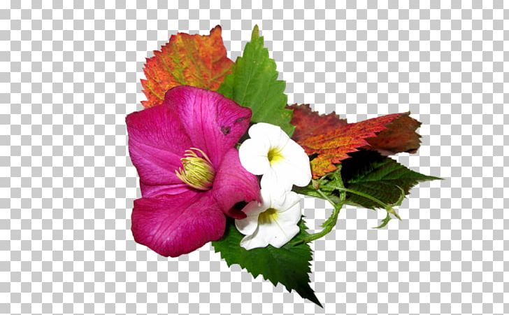 Common Hibiscus Flower Leaf PNG, Clipart, Annual Plant, Common Hibiscus, Computer Icons, Cut Flowers, Download Free PNG Download