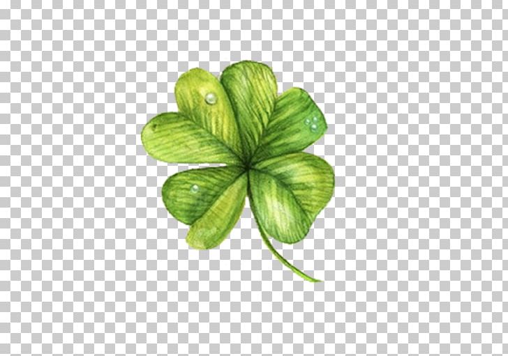 Four-leaf Clover Computer File PNG, Clipart, Clover, Download, Flowers, Four Leaf Clover, Fourleaf Clover Free PNG Download