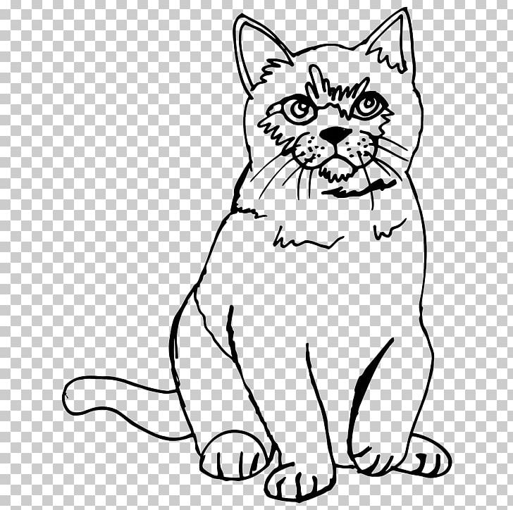 Persian Cat Kitten Siamese Cat Drawing Sketch PNG, Clipart, Animals, Black, Black And White, Carnivoran, Cat Free PNG Download