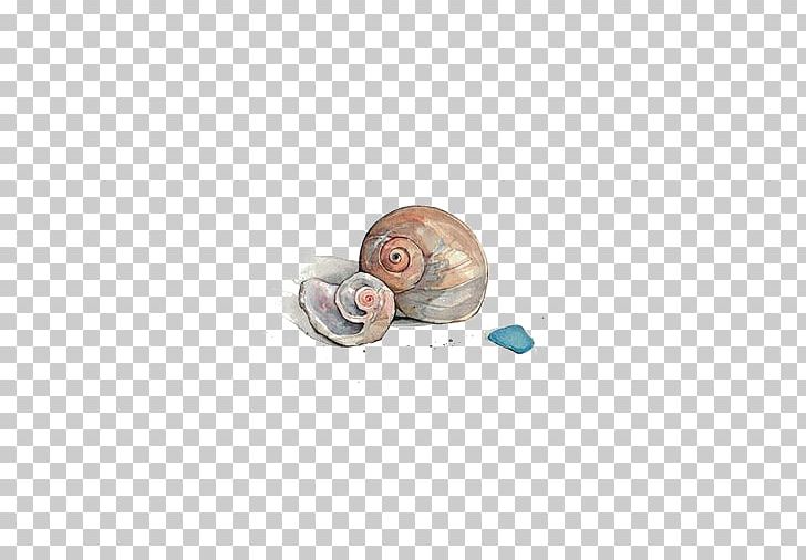Seashell Watercolor Painting Conch PNG, Clipart, Art, Body Jewelry, Coast, Color, Molluscs Free PNG Download