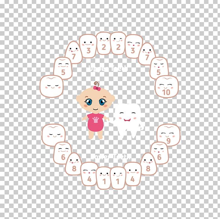 Tooth Animation Drawing PNG, Clipart, Baby, Baby Clothes, Baby Teeth, Body, Cartoon Character Free PNG Download