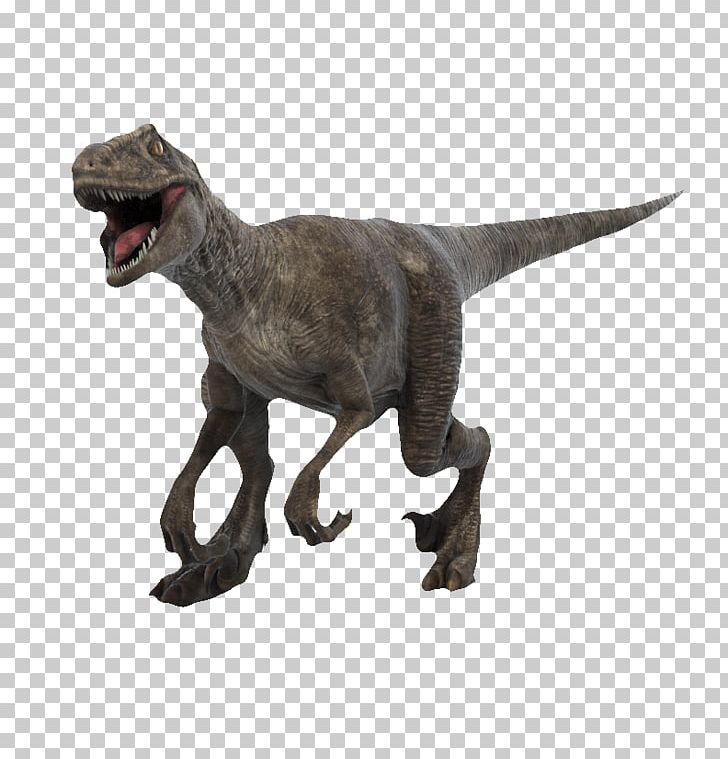 Adocus 3D computer graphics, Dinosaur, gray tyrannosaurus rex dinosaur, 3D  Computer Graphics, animals, tyrannosaurus png