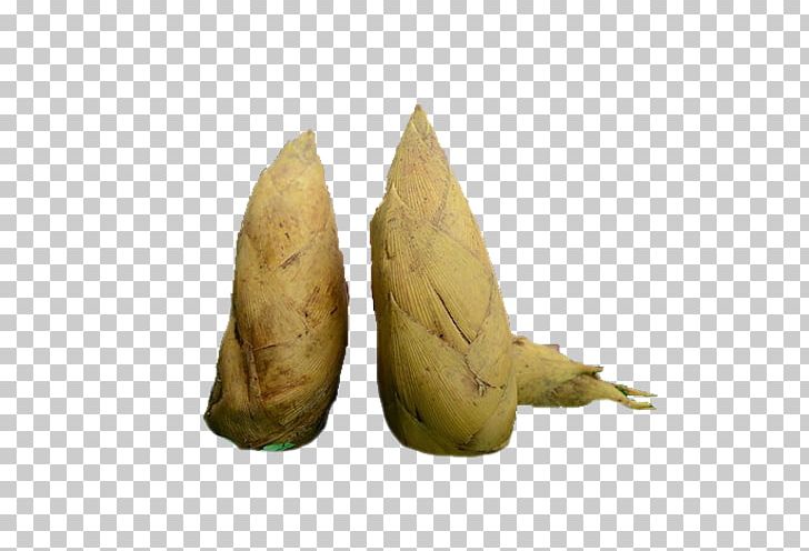 Bamboo Shoot PNG, Clipart, Agricultural Products, Artifact, Bamboo, Bamboo Leaves, Bamboo Shoot Free PNG Download