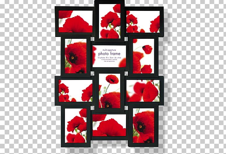 Frames Aperture Mat PNG, Clipart, Aperture, Collage, Coquelicot, Cut Flowers, Decorative Arts Free PNG Download