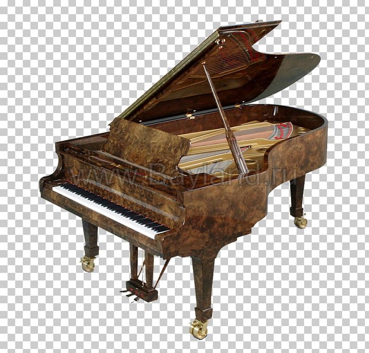 Grand Piano Euro Pianos Naples Harpsichord Fazioli PNG, Clipart, Bluthner, C Bechstein, Consumer, Fazioli, Fortepiano Free PNG Download