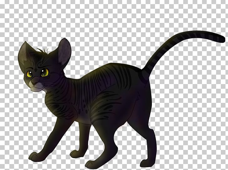 Korat Black Cat Kitten Whiskers Domestic Short-haired Cat PNG, Clipart, Animals, Black, Black Cat, Black M, Burmese Free PNG Download