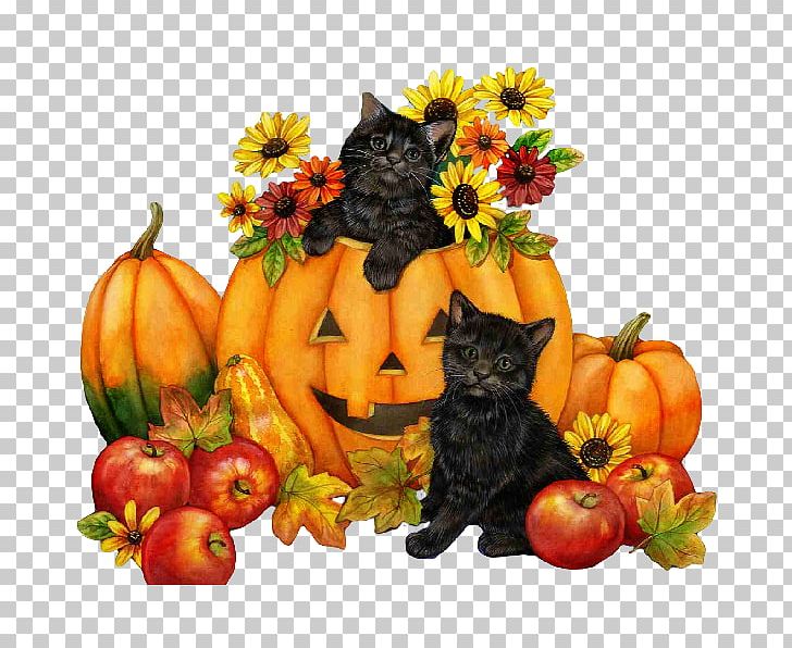 Pumpkin Pie Candy Corn Kitten Halloween PNG, Clipart, Candy Corn, Desktop Wallpaper, Flower, Food, Fruit Free PNG Download