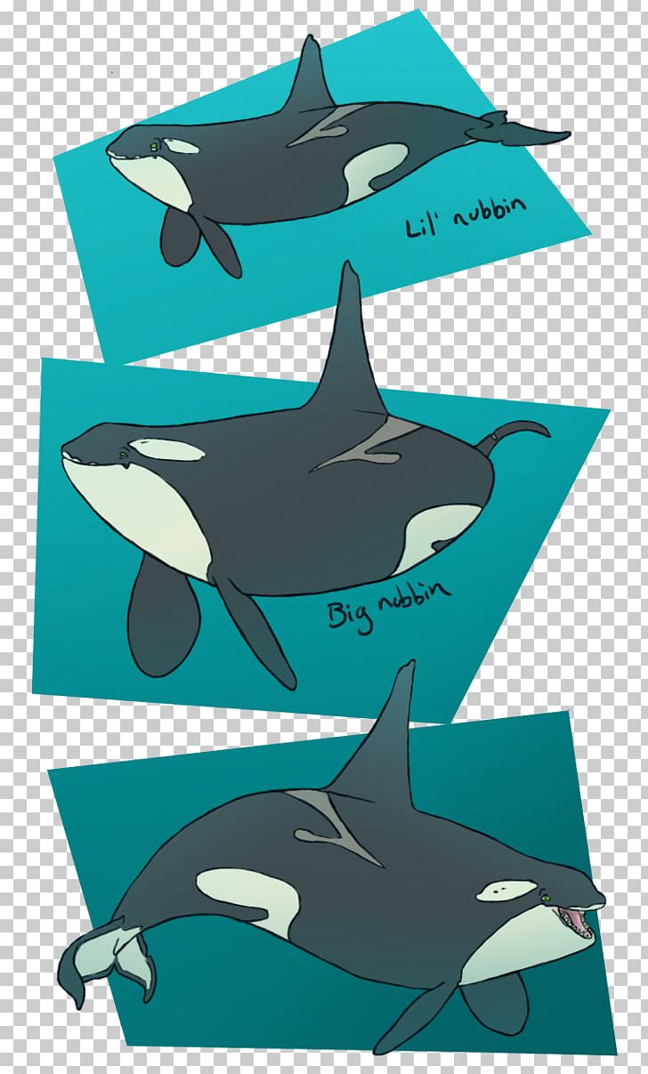 Common Bottlenose Dolphin Killer Whale Requiem Sharks PNG, Clipart, Aqua, Art, Bottlenose Dolphin, Cartilaginous Fish, Cetacea Free PNG Download