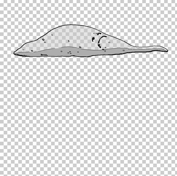 Dolphin Porpoise Marine Mammal Cetacea Footwear PNG, Clipart, Animal, Animals, Black And White, Cetacea, Dolphin Free PNG Download