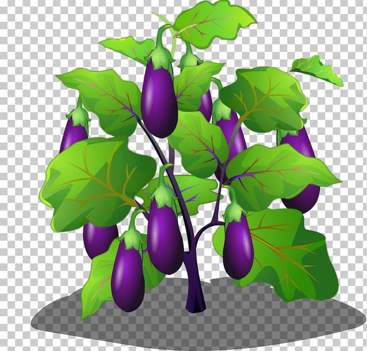 Eggplant Vegetable Cartoon PNG, Clipart, Auglis, Balloon Cartoon, Branch, Cartoon, Cartoon Couple Free PNG Download