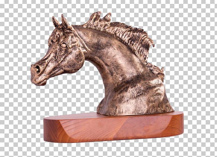 Horse Awards Recognition Concepts Trophy Medal PNG, Clipart, Animals, Award, Bronze, Bronze Medal, Commemorative Plaque Free PNG Download