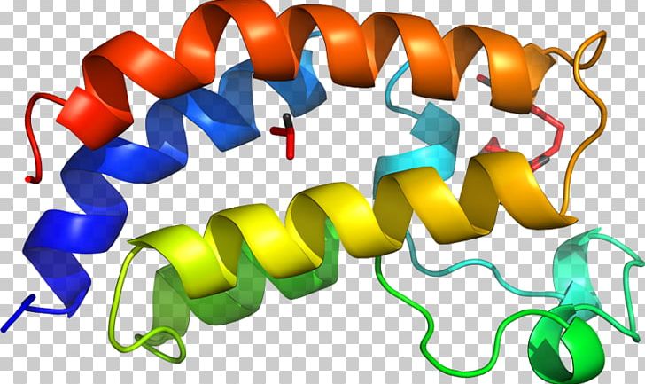 Line PNG, Clipart, Acetolactate Synthase, Art, Line, Text Free PNG Download