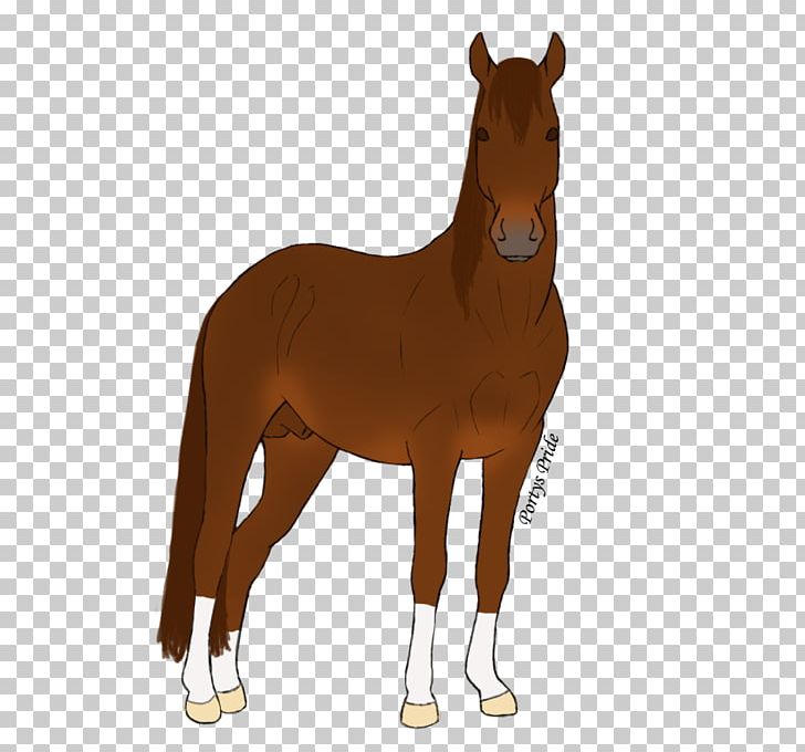 Mustang Foal Stallion Mare Colt PNG, Clipart, Animal Figure, Bridle, Colt, Foal, Halter Free PNG Download