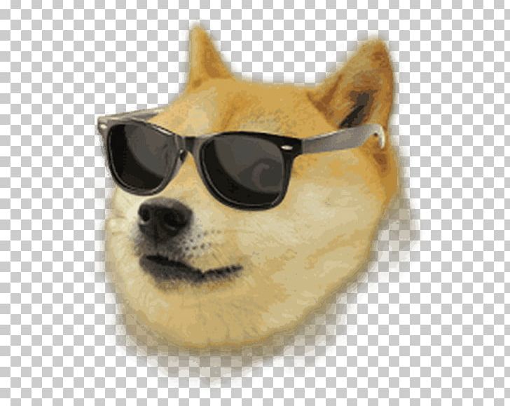 Doge Weather Agar.io Weather Forecasting PNG, Clipart, Agario, Android, Carnivoran, Computer Icons, Computer Software Free PNG Download