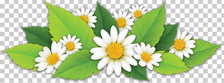 Melanin Flower PNG, Clipart, Areola, Buttocks, Camomile, Cari, Daisy Free PNG Download