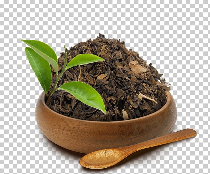 Oolong Nilgiri Tea Romeritos Black Tea PNG, Clipart, Black Tea, Da Hong Pao, Dianhong, Earl Grey Tea, Flowerpot Free PNG Download