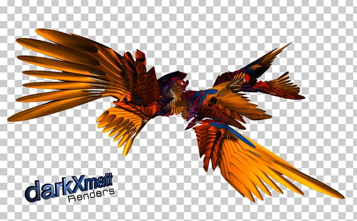 Rendering Cinema 4D Macaw PNG, Clipart, Album, Basket, Beak, Bird, Cinema 4d Free PNG Download