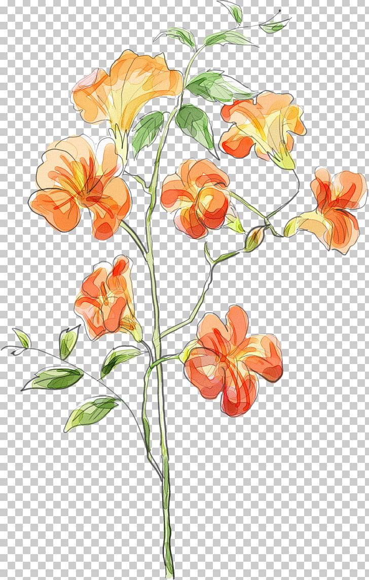 Watercolor Painting Graphics Orange PNG, Clipart, Art, Blue, Branch, Color, Cut Flowers Free PNG Download