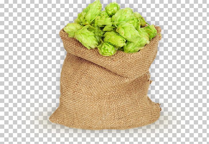 Beer Hops Common Hop Bag PNG, Clipart, Bag, Barley, Beer, Beer Hops, Common Hop Free PNG Download