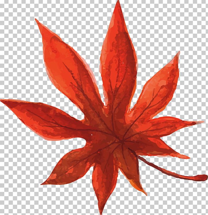 Cannabis Smoking Illustration PNG, Clipart, Cannabis, Cannabis Sativa, Decorative Patterns, Fall Leaves, Getty Images Free PNG Download