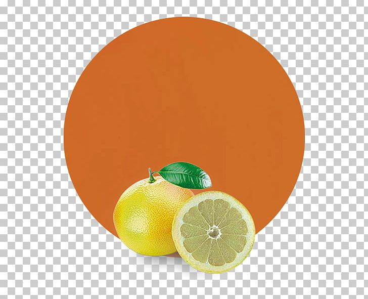Clementine Grapefruit Tangerine Tangelo Mandarin Orange PNG, Clipart, Aromatherapy, Bergamot Orange, Blood Orange, Citric Acid, Citrus Free PNG Download