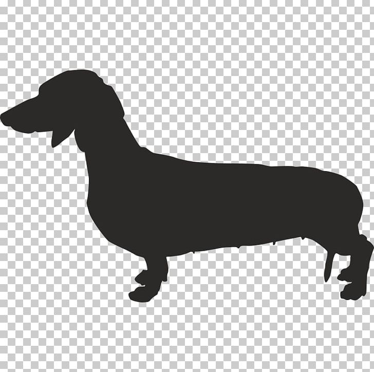 Dachshund French Bulldog Chihuahua Puppy PNG, Clipart, Animals, Black And White, Carnivoran, Chihuahua, Dachshund Free PNG Download