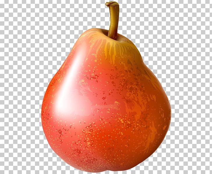 Pear Fruit PNG, Clipart, Apple, Auglis, Clip, Download, Food Free PNG Download