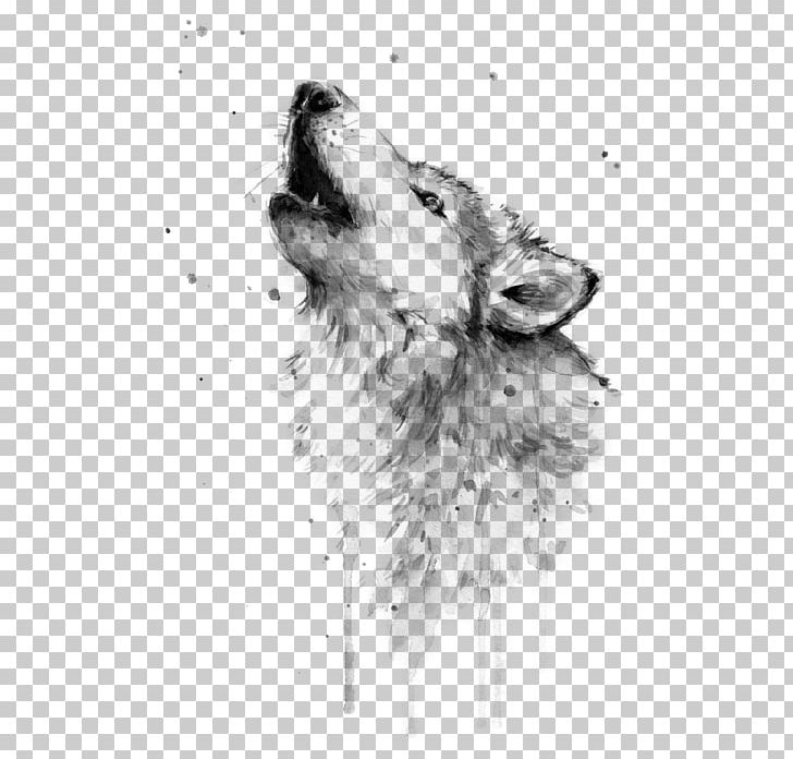Watercolor Painting Gray Wolf Art Drawing PNG, Clipart, Art, Artist, Art Museum, Artwork, Black And White Free PNG Download