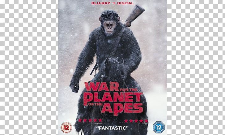 Blu-ray Disc Planet Of The Apes DVD 20th Century Fox Film PNG, Clipart, 20th Century Fox, Andy Serkis, Bluray Disc, Blu Ray Disc, Dawn Of The Planet Of The Apes Free PNG Download