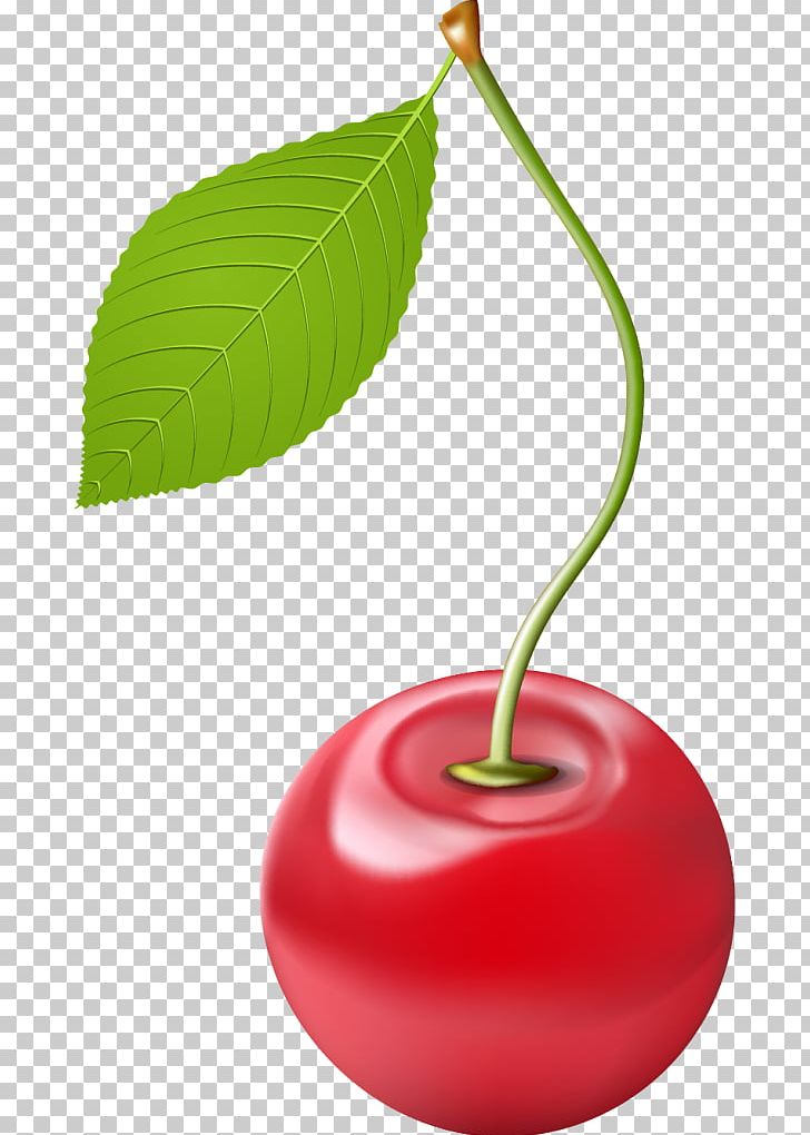 Drawing PNG, Clipart, Art, Berry, Cherry, Computer Icons, Download Free PNG Download