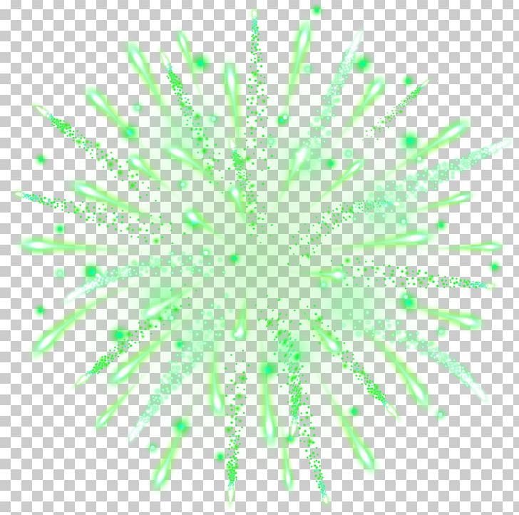Green Organism Pattern PNG, Clipart, Circle, Clipart, Clip Art, Firework, Fireworks Free PNG Download