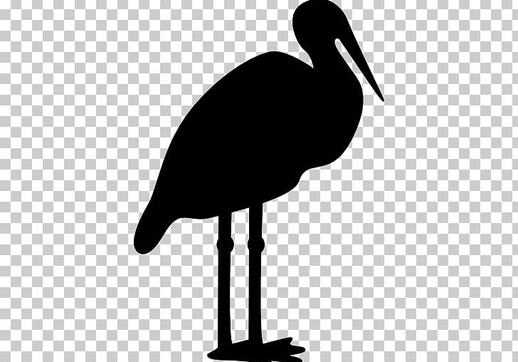 White Stork Bird Crane Beak Silhouette PNG, Clipart, Animal, Animals, Beak, Bird, Bird Silhouette Free PNG Download